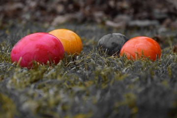 3 bunte Ostereier im Gras, selektierte Farbe