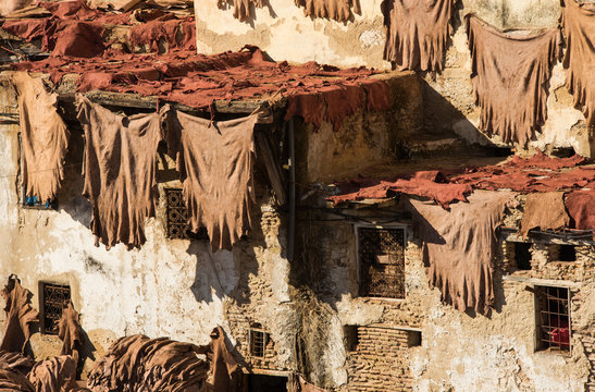 Old leather tannery in moroccan city Fez