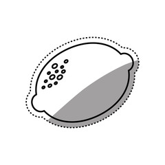 Lemon citric fruit icon vector illustration graphic design