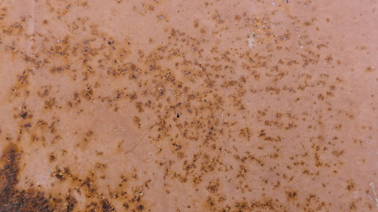 close-up texture of rusty metal. rust and metal. 