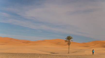 Fototapeta na wymiar Scenic and tranquil desert near Merzouga, Morocco
