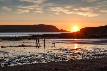 A family with dog in silhouette walking on a beach at Daymer Bay in Cornwall England.  The setting sun is reflecting on the wet sand and the sea in the Camel estuary.