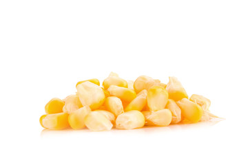 Corn on white background