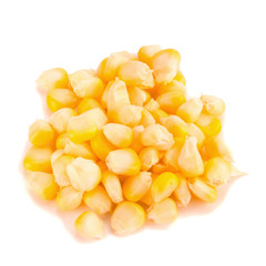 Corn on white background