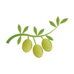 Olive oil healthy food icon vector illustration graphic design