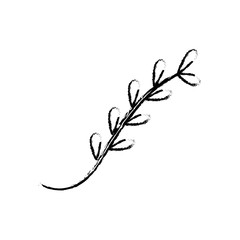 Plant branch isolated icon vector illustration graphic design