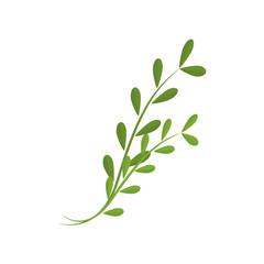 Obraz premium Plant branch isolated icon vector illustration graphic design