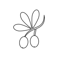 Olive oil healthy food icon vector illustration graphic design