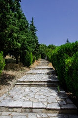 Fototapeta na wymiar Stone Path in the Forest