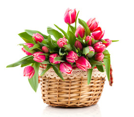 Red tulip flowers in a basket on a white background