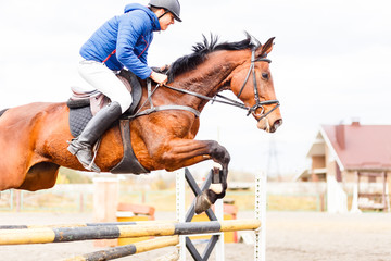 Young rider on bay horse on show jumping competition