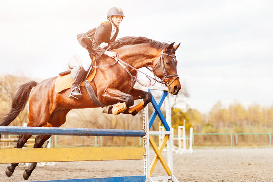 Bay horse with rider girl jump over hurdle on show jumping competition