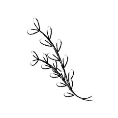 Plant branch isolated icon vector illustration graphic design