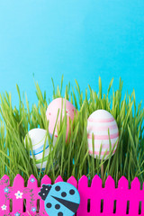 Easter eggs and green wheat plant