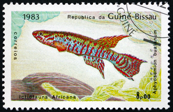 Postage stamp Guinea-Bissau 1983 Aphyosemion bualanum, fish