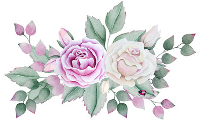 Watercolor a bouquet of roses