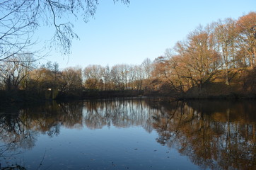 Fototapeta na wymiar Reflection of autumn forest in lake in fortress around Antwerp