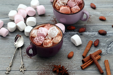 tazza di cioccolato con marshmallows su sfondo grigio