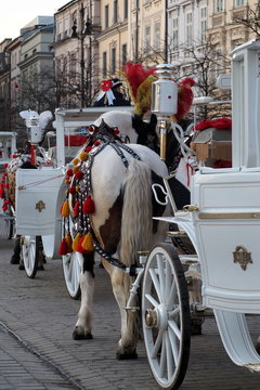 Druga strona Konia