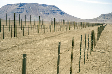 Fence line in the desert, Namibia