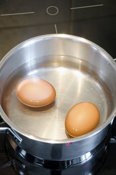 cooking pot with two eggs and water