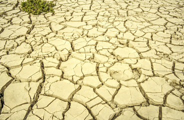 Soil structure, Namibia, Namib desert, Namib near Swakopmund