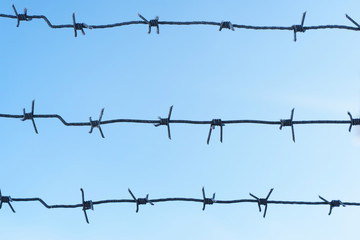 lines barbed wire. focus with shallow depth of field. closeup