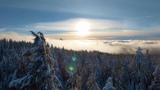 DRONE 4K | Snowy Winter Valley Full of Fog | Crater Lake National Park