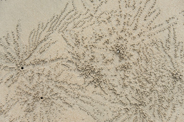 Beach Pattern