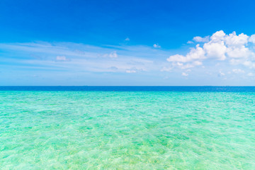 Beautiful tropical Maldives island with white sandy beach and sea .