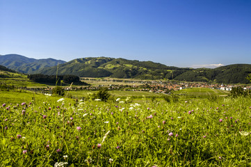 Fototapeta na wymiar Zarnesti, idyllic landscape, Carpathian mountains, Romania, Tran
