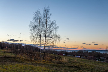 simple Russian landscape - two birches and an autumn decline against the background of wooden houses.