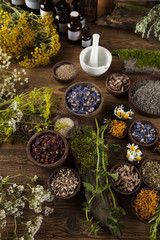 Obraz na płótnie Canvas Assorted natural medical herbs and mortar on wooden table background