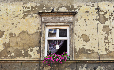 Fototapeta Detail of old building in Jewish quarter in Krakow, Poland obraz