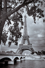 Obrazy na Szkle  Monochromatyczny widok vintage wieży Eiffla otoczony drzewem, Paryż