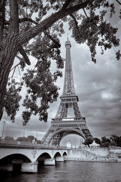Monochrome vintage view of Eiffel tower framed with the tree, Paris