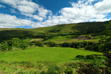 Fototapeta na wymiar Killarney National Park in Country Kerry, Ireland