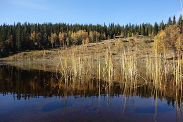 Autumn lake