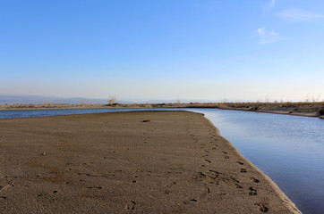 Sea and Coast, Wild Nature, Wildlife Scene Panorama
