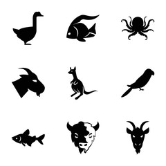 Set of 9 wild filled icons
