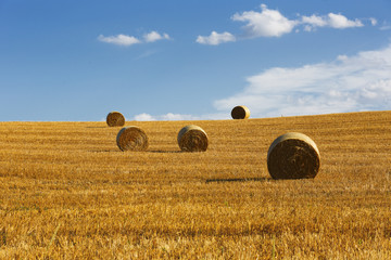 Hay Bails, Tuscany, Italy © BRUCE