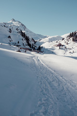 Fototapeta na wymiar ski touring in tyrol