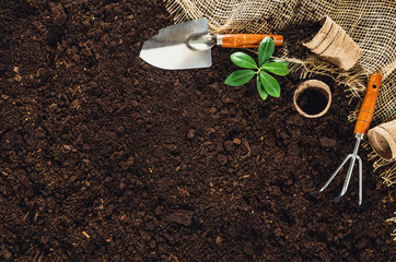 Gardening tools on fertile soil texture background seen from above, top view. Gardening or planting...