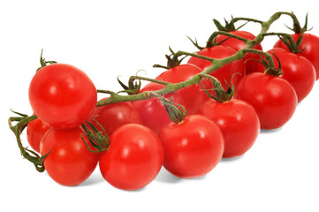 Branch of cherry tomatoes on white background