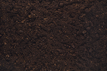Fertile soil texture background seen from above, top view. Gardening or planting concept with copy...