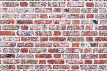 Genauerte Wand mit Ziegelsteinen