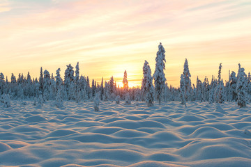 Snowy landscape with sunset. © jellisvaes