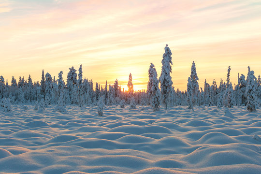 Snowy landscape with sunset.