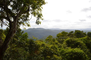 Obraz premium Paysage australien