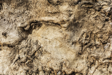 Yellow drawing of an old fallen tree